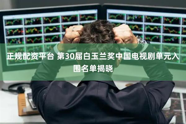 正规配资平台 第30届白玉兰奖中国电视剧单元入围名单揭晓