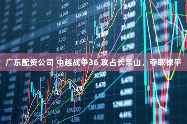 广东配资公司 中越战争36 攻占长条山，夺取禄平
