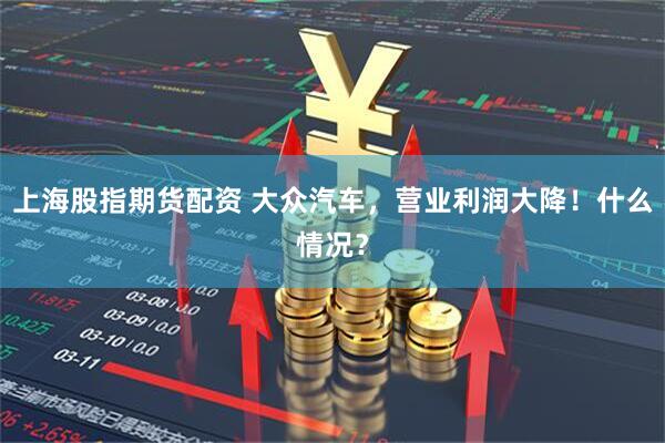 上海股指期货配资 大众汽车，营业利润大降！什么情况？